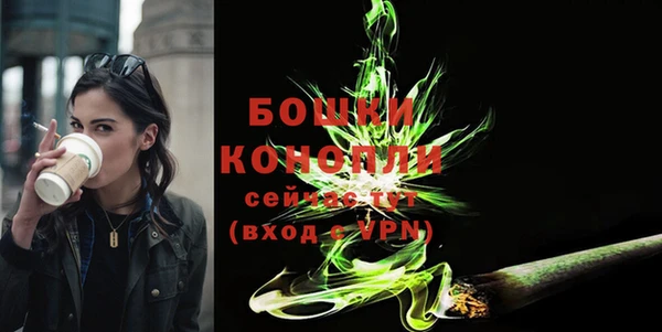 Альфа ПВП Белокуриха