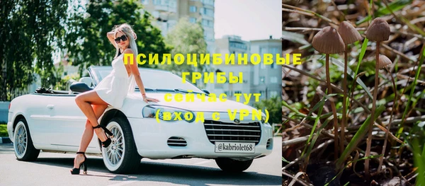 гидропоника Белоозёрский