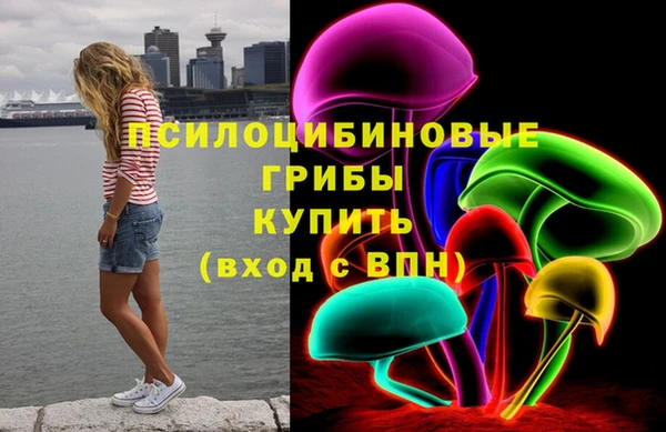 гидропоника Белоозёрский