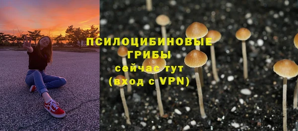 spice Беломорск