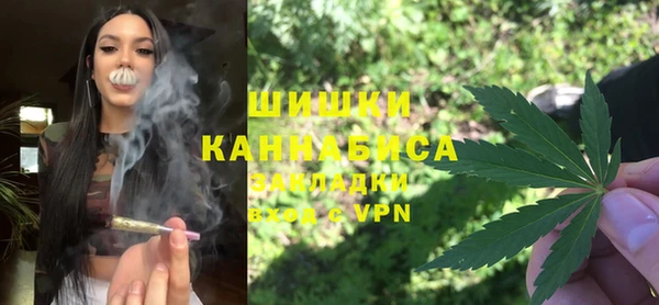 Альфа ПВП Белокуриха