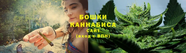 гидропоника Белоозёрский